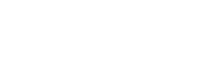 EM Virtual